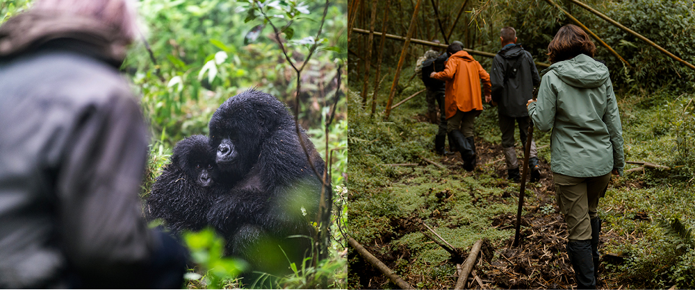 What to wear gorilla trekking 