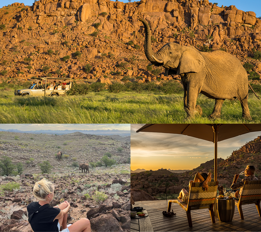 Safari consultant, Camille Rowe of African Safari Consultants on location in Namibia's Damaraland and encountering Desert Adapted Elephants there.